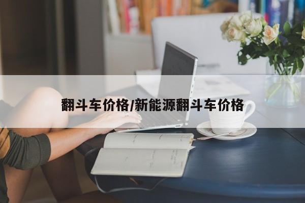 翻斗车价格/新能源翻斗车价格